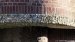 Detail gevel: baksteen en kiezels
<br/>
Gert-Jan Lobbes, 2017